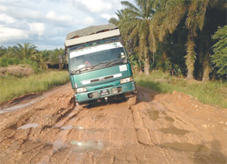 Repair muddy Tawau road, urges DAP YB